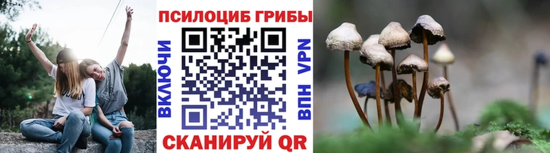 Псилоцибиновые грибы мицелий  Ахтубинск 